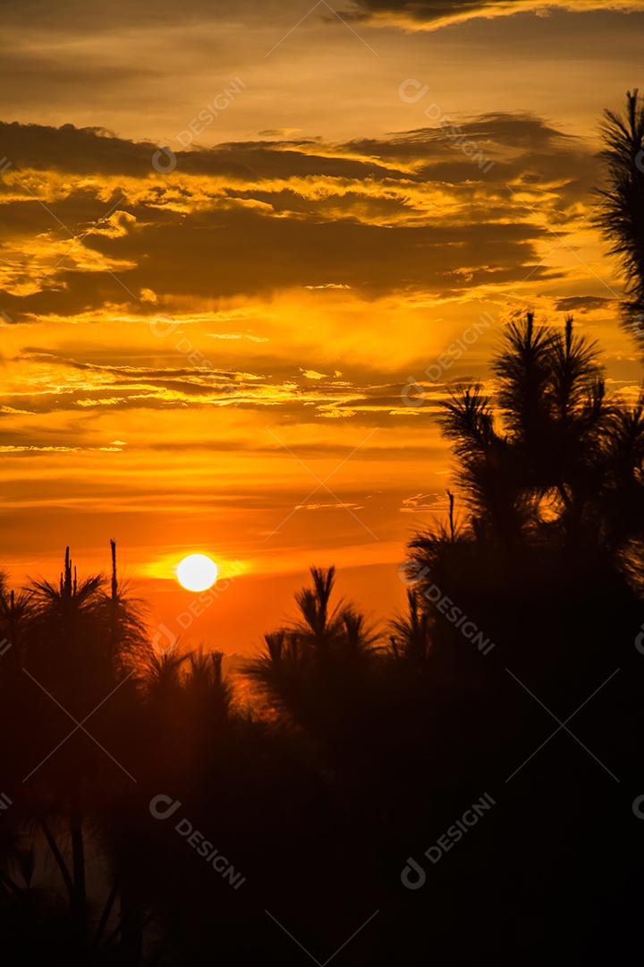 Céu na hora do Crepúsculo.