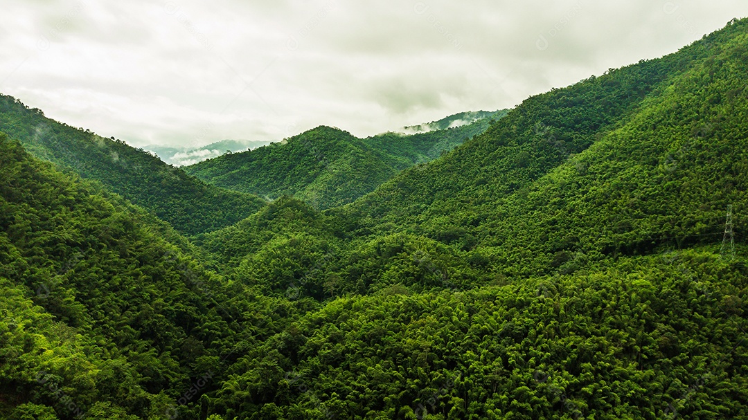 Vista aérea da floresta e da montanha.