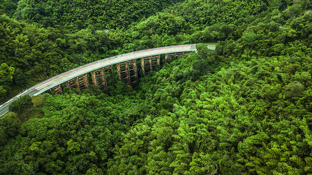Vista aérea da estrada ou ponte está no meio de uma floresta.