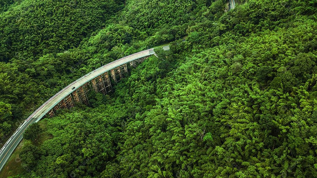 Vista aérea da estrada ou ponte está no meio de uma floresta.