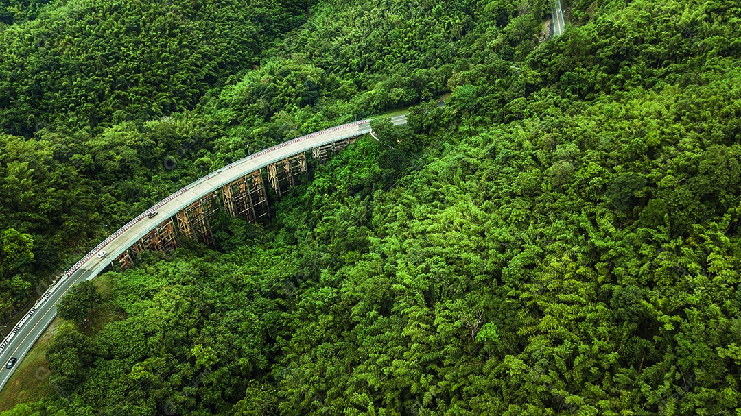 Vista aérea da estrada ou ponte está no meio de uma floresta.