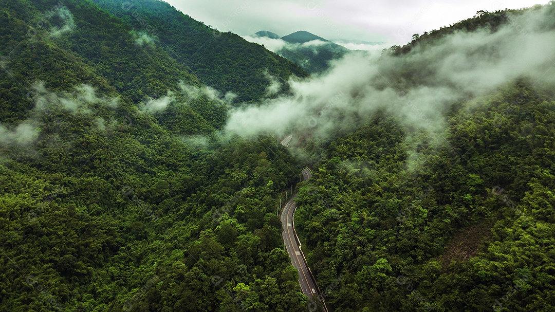 Vista aérea da estrada ou ponte está no meio de uma floresta.
