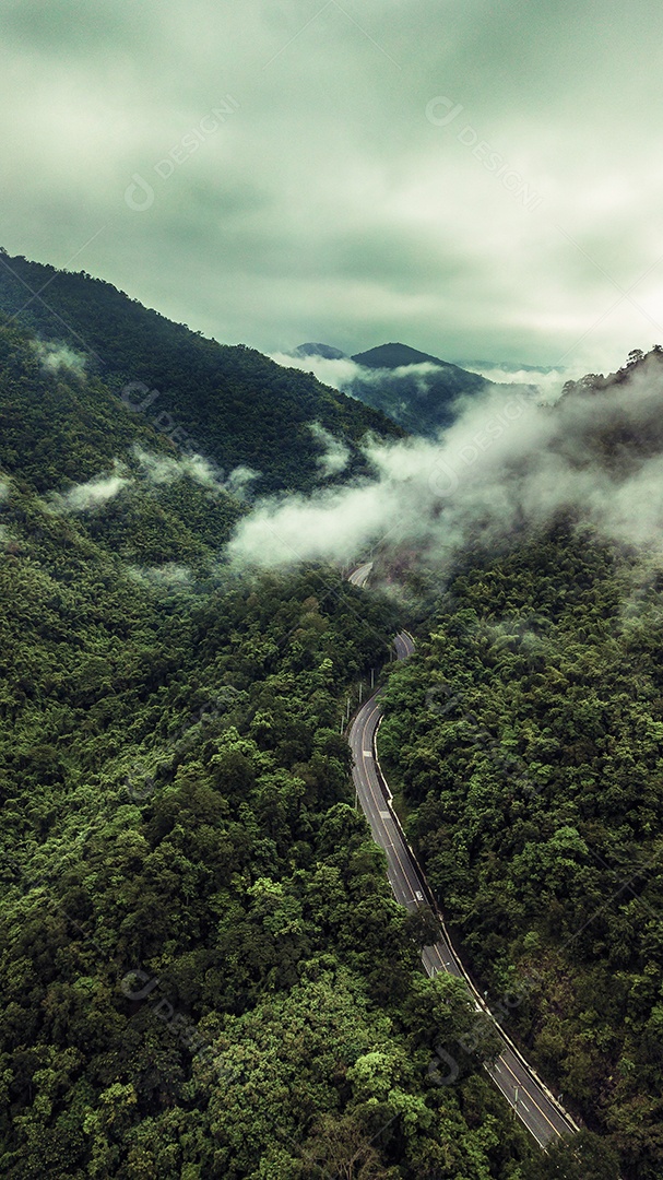 Vista aérea da estrada ou ponte está no meio de uma floresta.