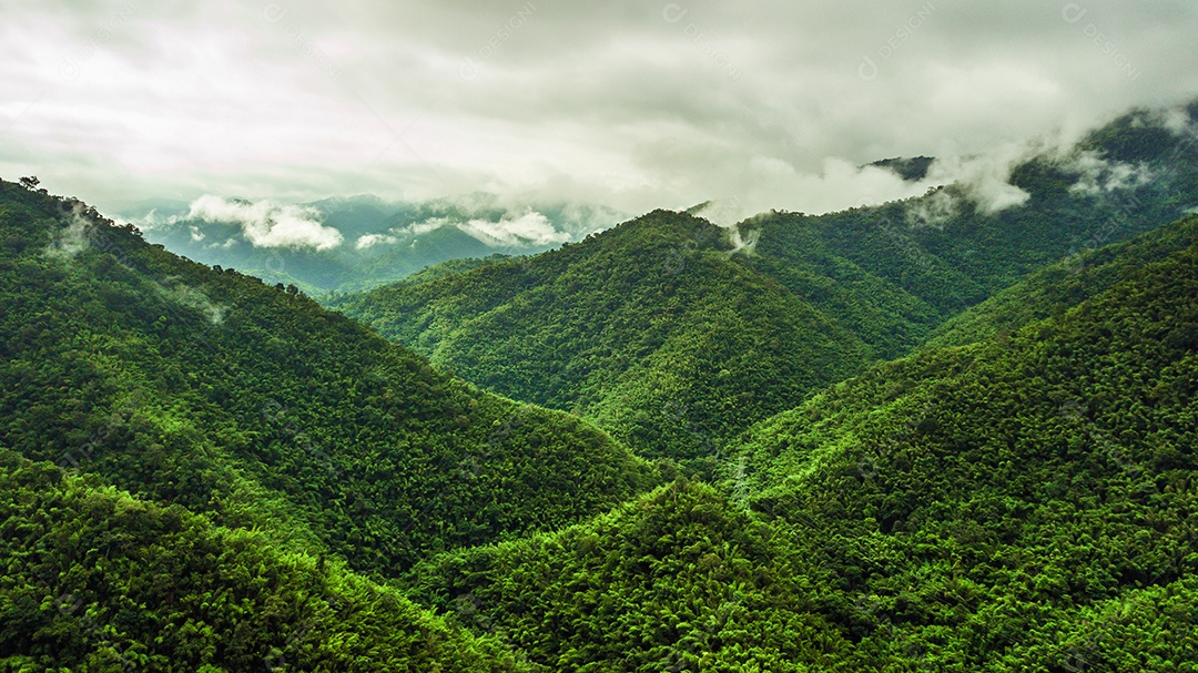 Vista aérea da floresta e da montanha.