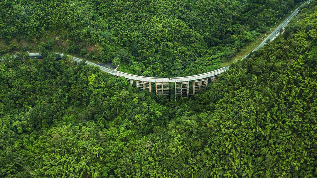 Vista aérea da estrada ou ponte está no meio de uma floresta.