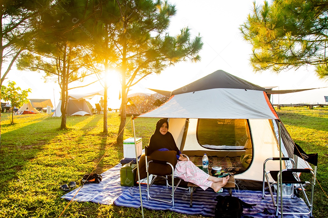 pinheiros e céu azul acampamento