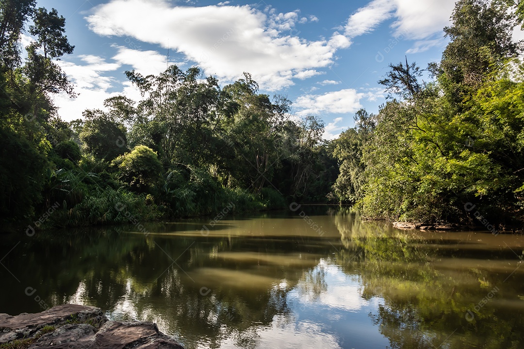 Paisagem de riachos e florestas