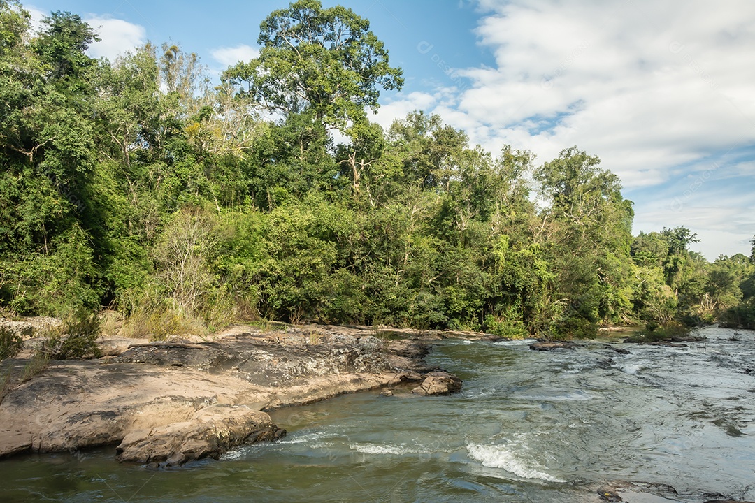 Paisagem de riachos e florestas
