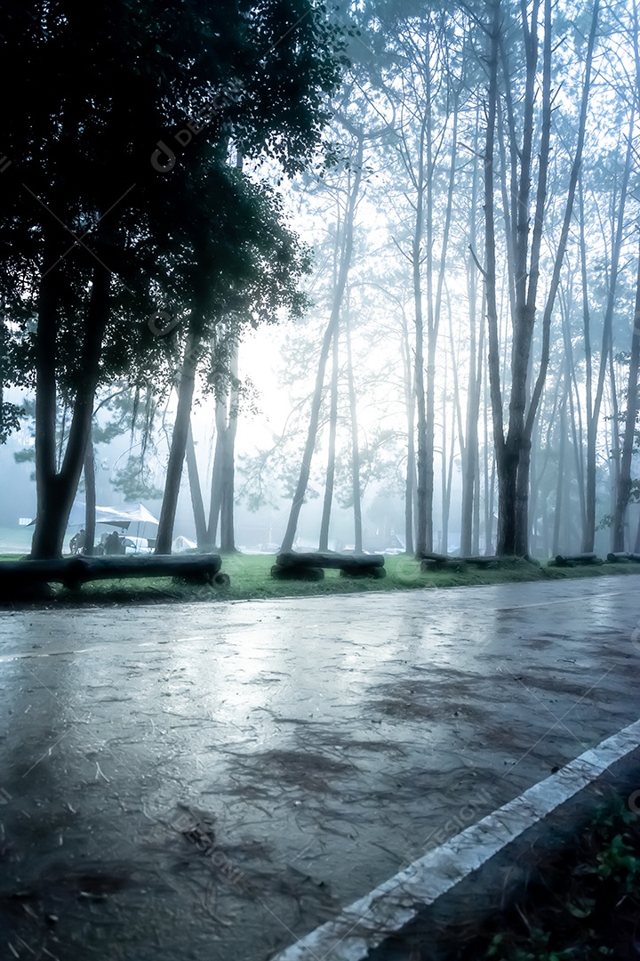 Bela paisagem florestal no Parque Nacional Thung Salaeng Luang, na província de Phitsanulok, na Tailândia. / Savanna no Parque Nacional da Tailândia