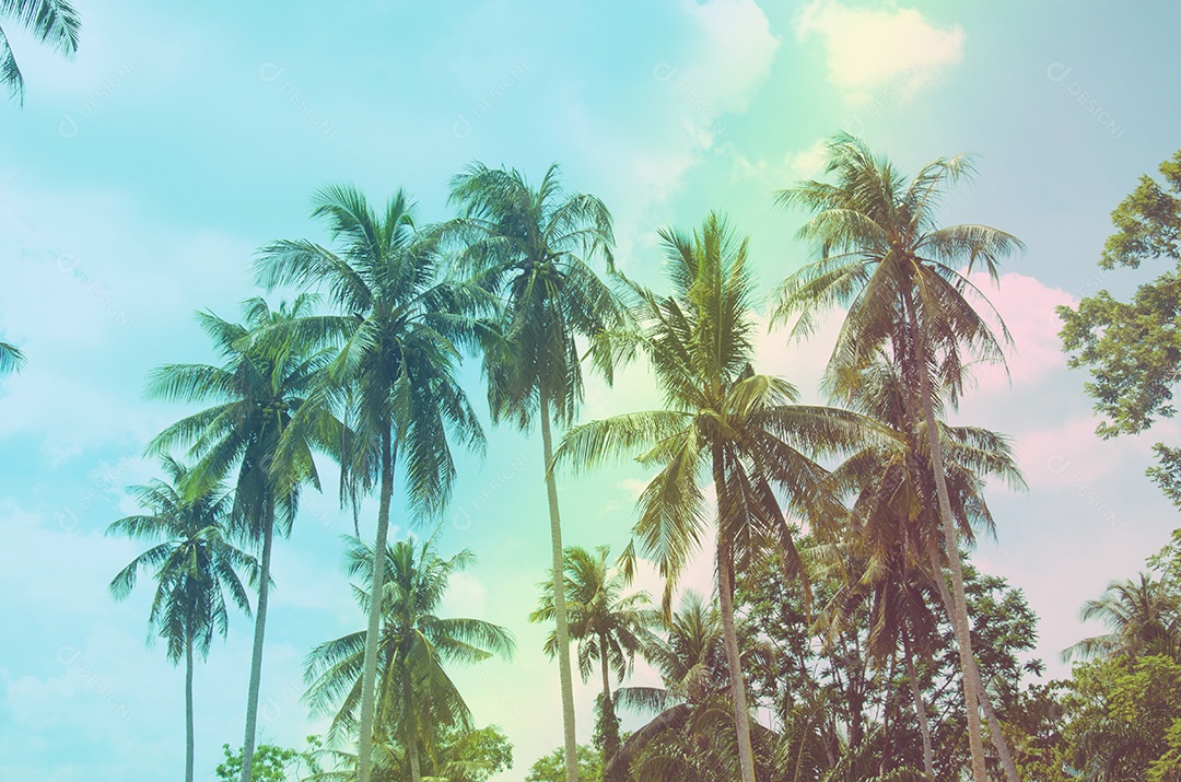 Coqueiro na costa tropical, feito com tons vintage, tons quentes.