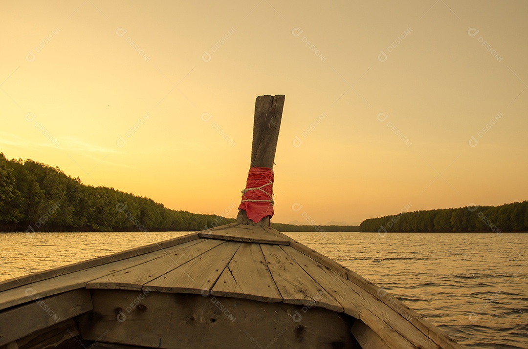 Luz do sol do barco na floresta de mangue.