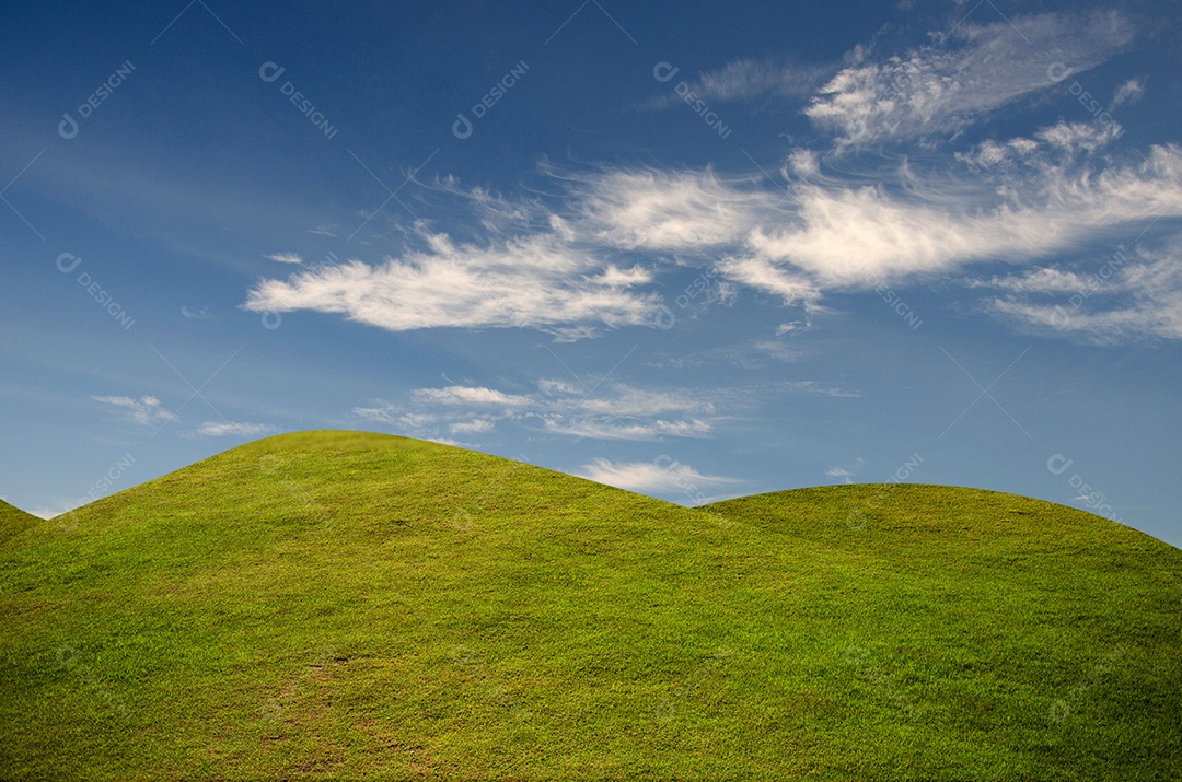 Campo de grama verde e céu.