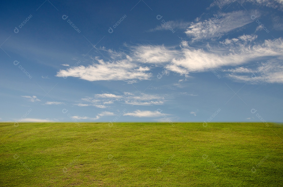 Campo de grama verde e céu.