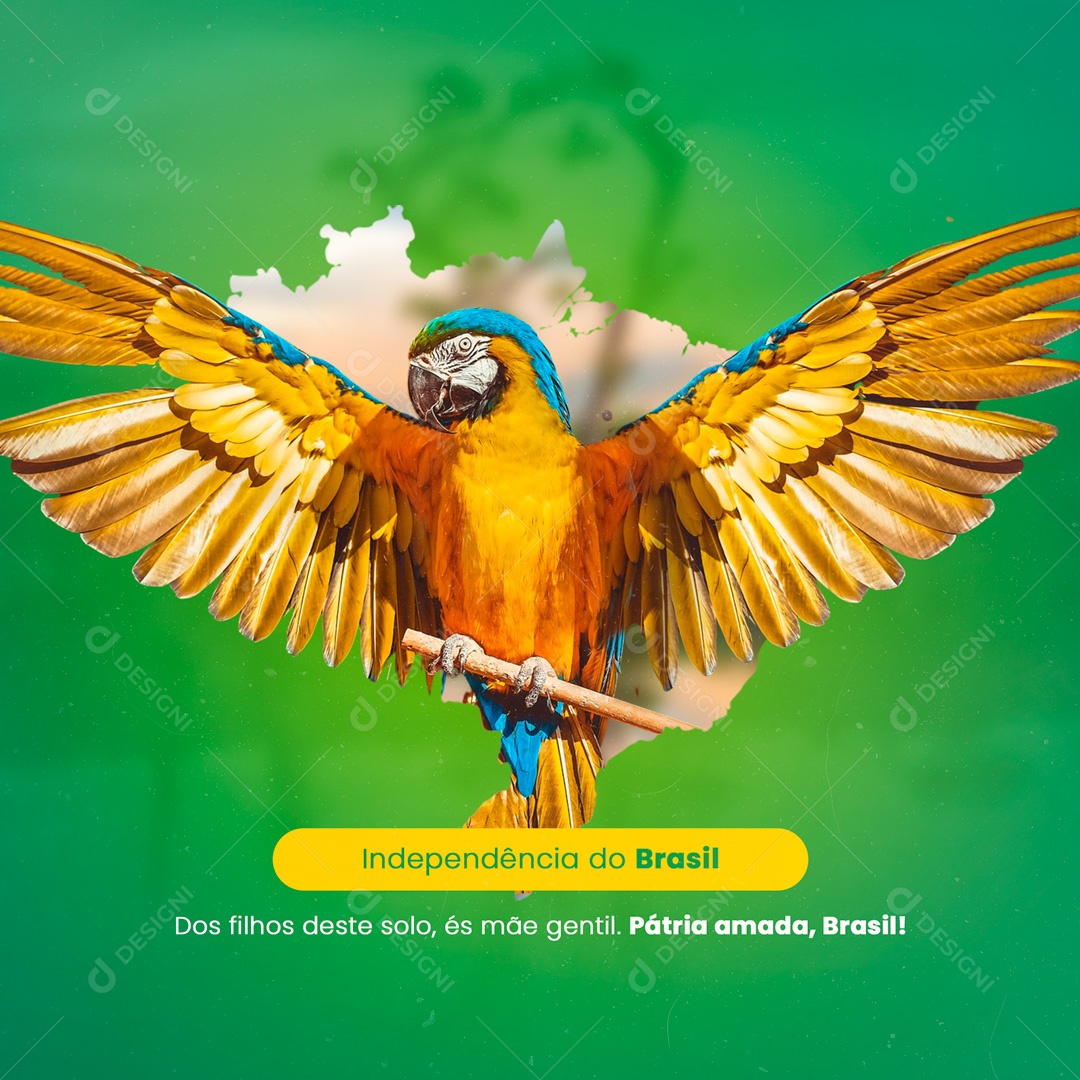Social Media Independência do Brasil 07 de Setembro PSD Editável