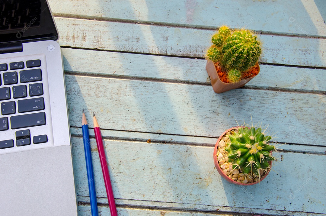 Computador e cacto e lápis na mesa de madeira azul.