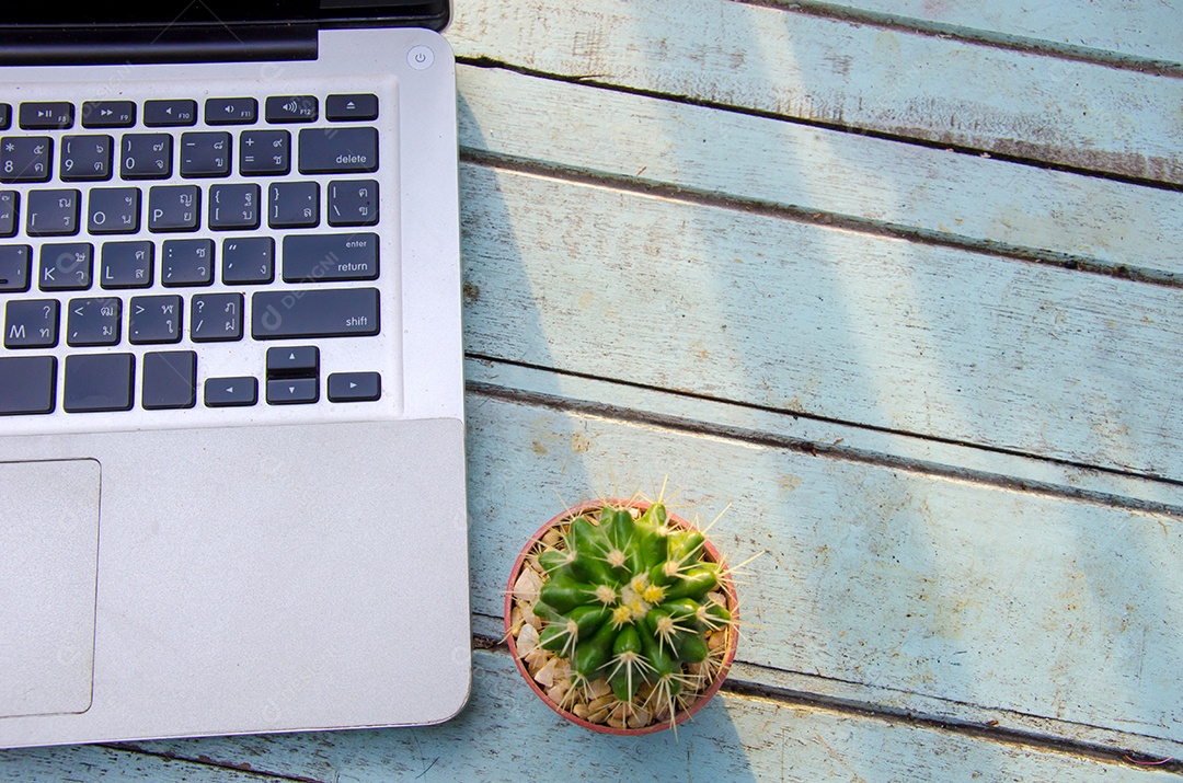 Computador e cacto na mesa de madeira azul.