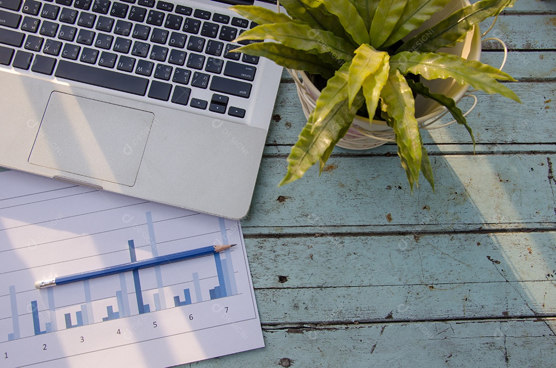 Acessórios de viagem Laptops, gráficos e árvores e Câmera.