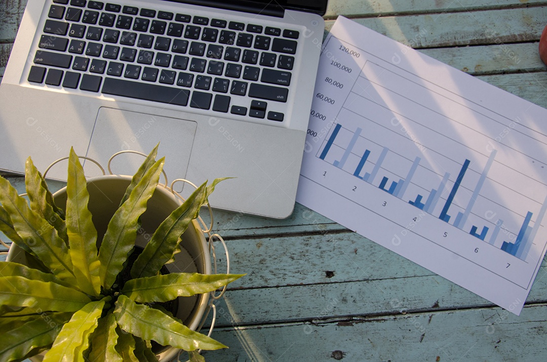 Acessórios de viagem Laptops, gráficos e árvores e Câmera.