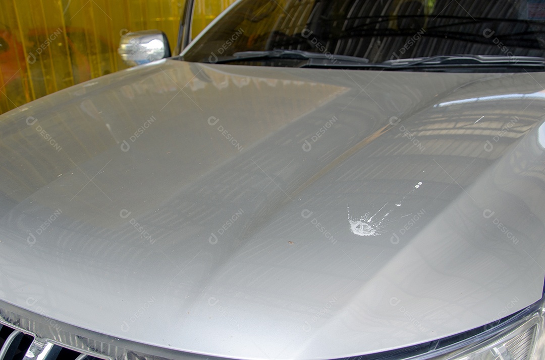 Sujeira, excrementos de pássaros no capô.