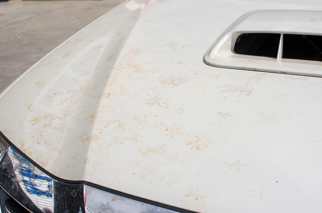 Sujeira, excrementos de pássaros no capô.