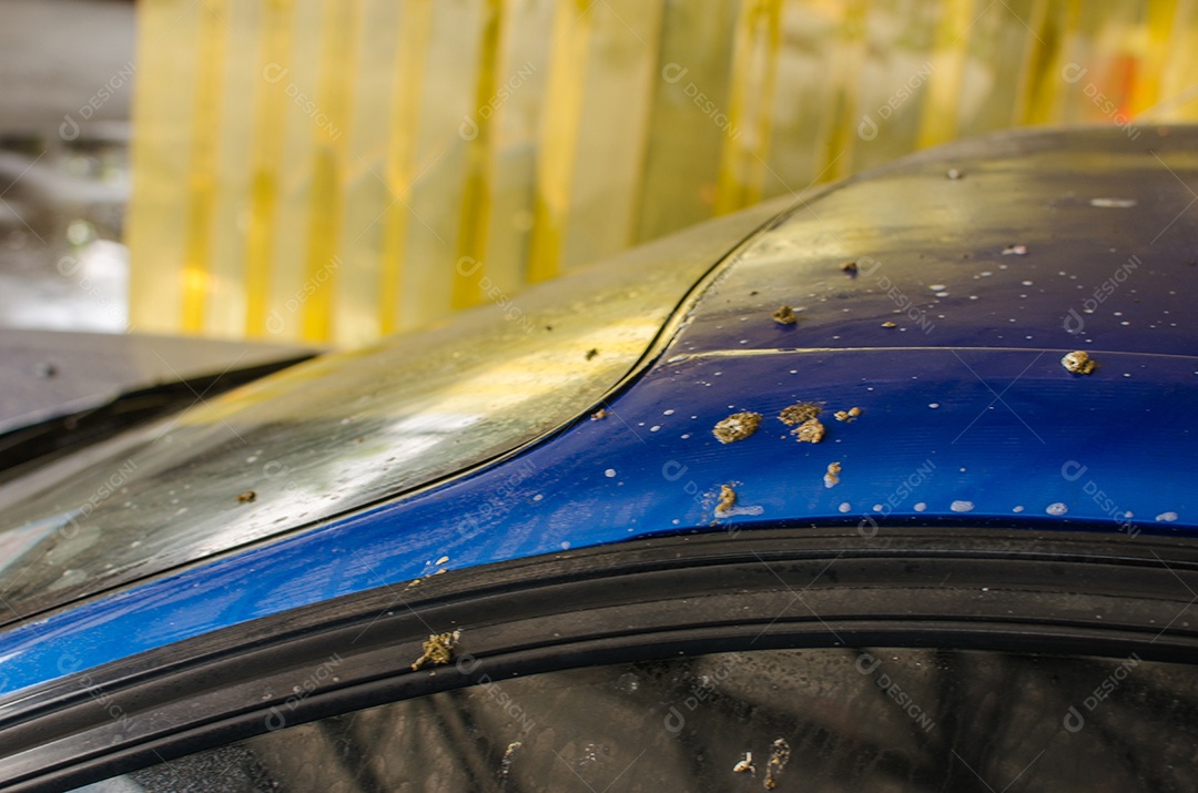 Excrementos de pássaros em carros.