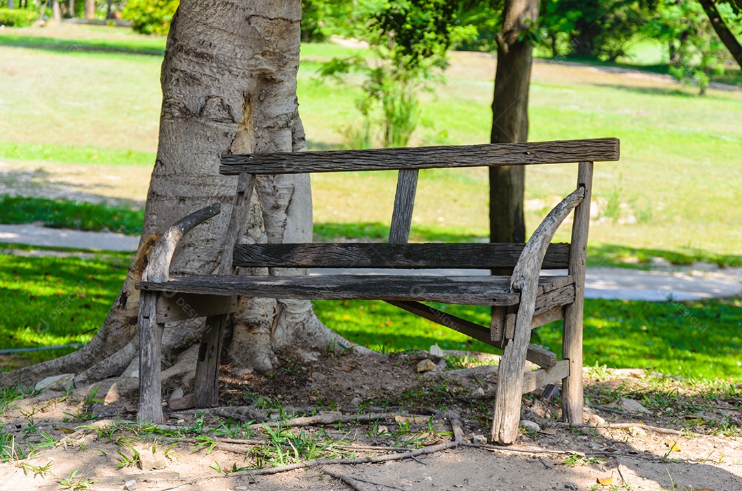 Cadeiras de madeira no jardim debaixo da árvore.