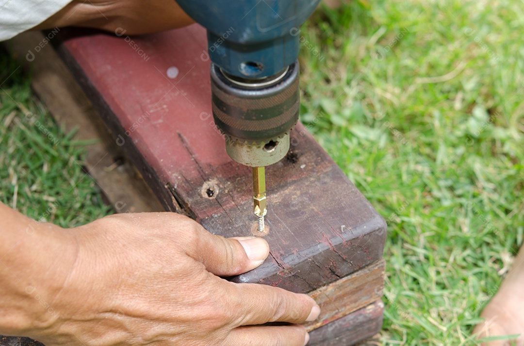 Porca de perfuração no gramado.