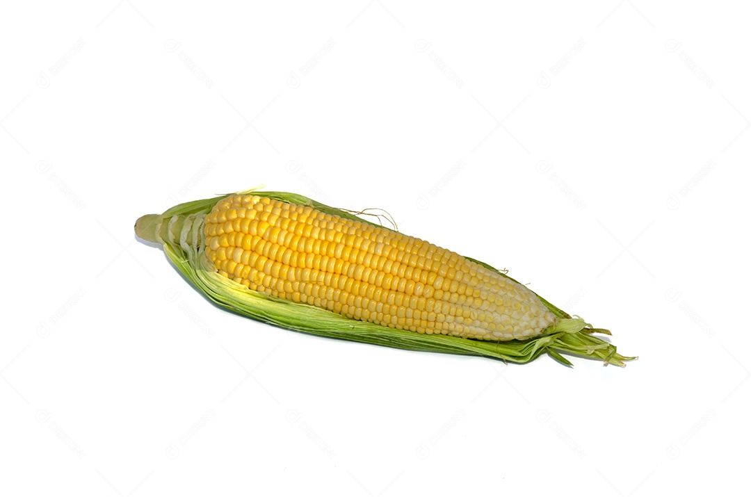 Milho isolado em um fundo branco.