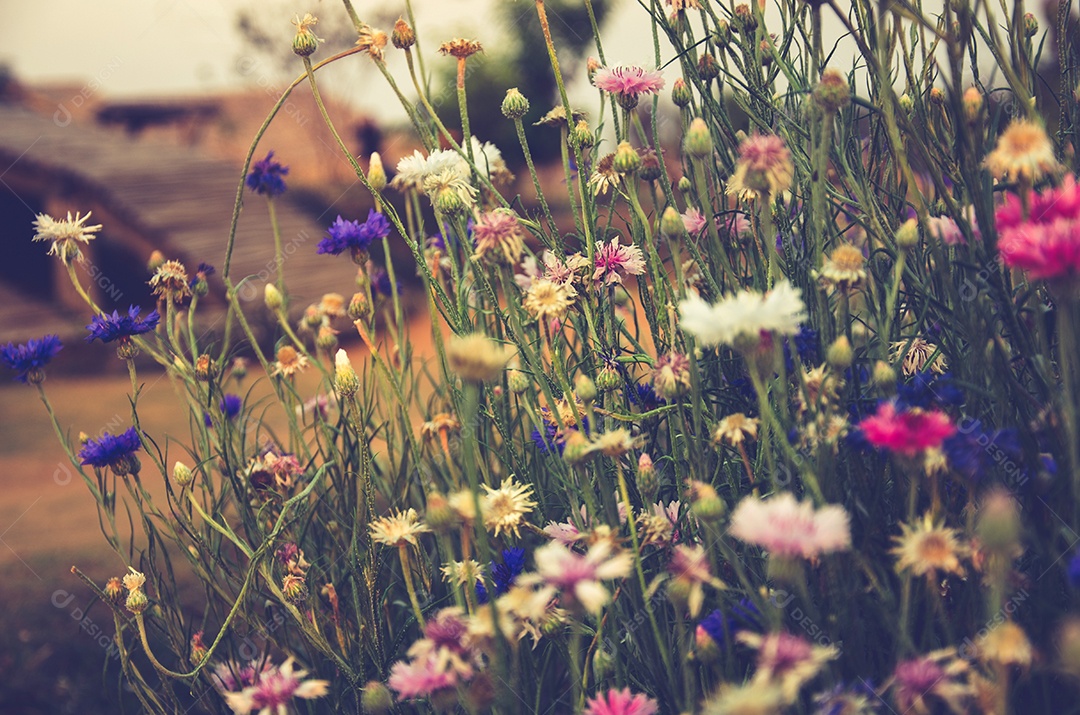 Fundo de flores vintage. fotos de estilo de efeito vintage.