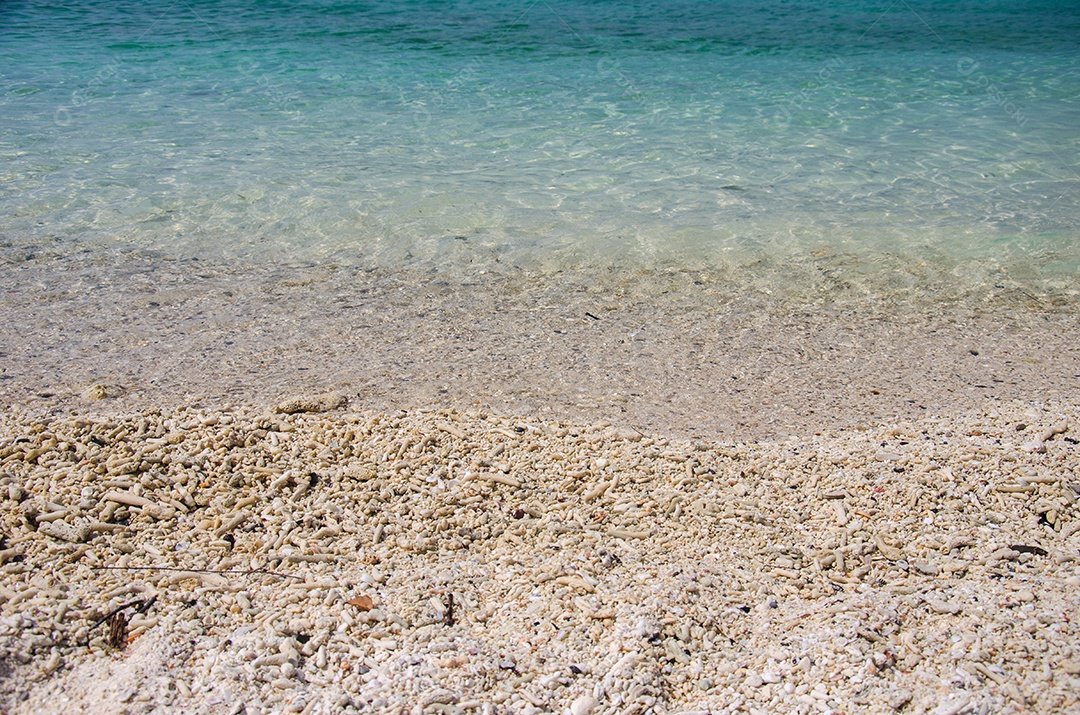 Fundo de mar e praia com espaço de cópia.