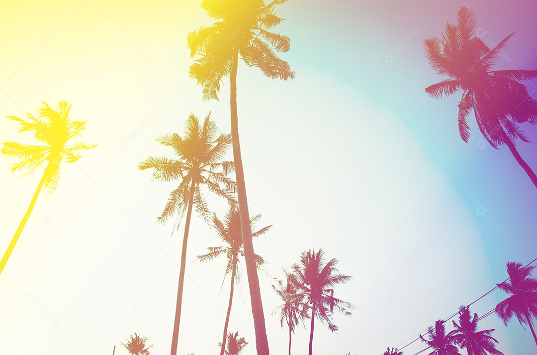 Coqueiros ao pôr do sol. Tom vintage.