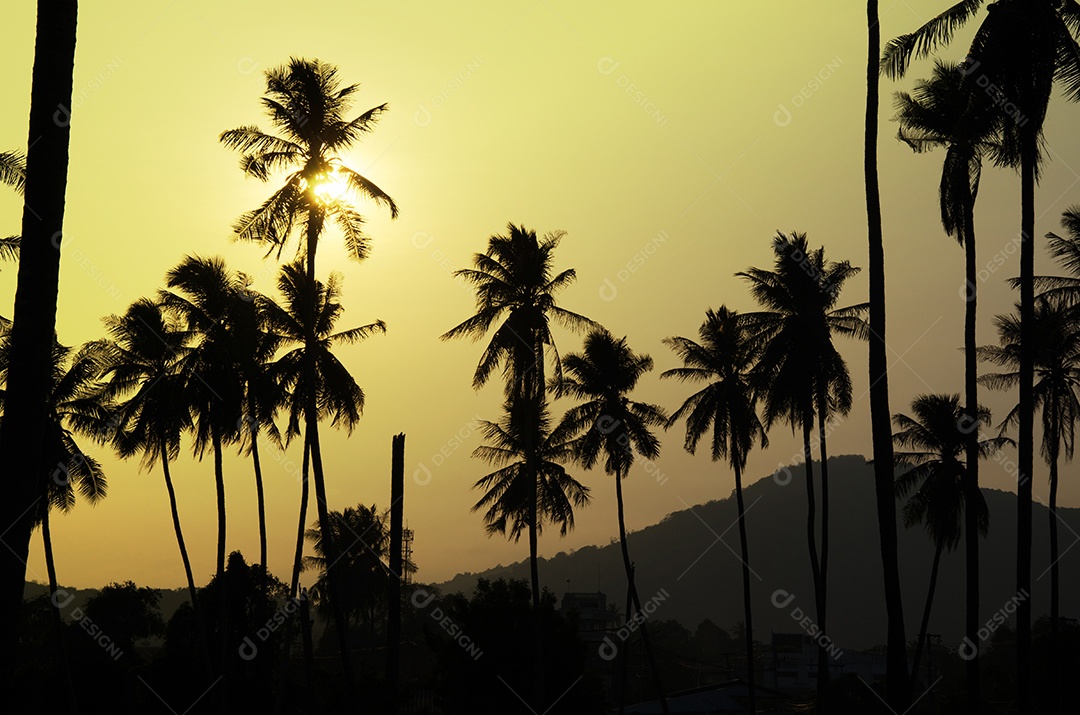 coqueiros ao pôr do sol. Tom vintage.