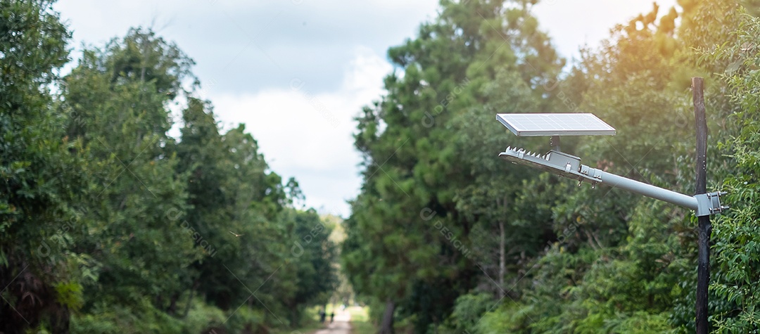 Painéis solares fotovoltaicos pequenos com lâmpada leve na floresta, elegem