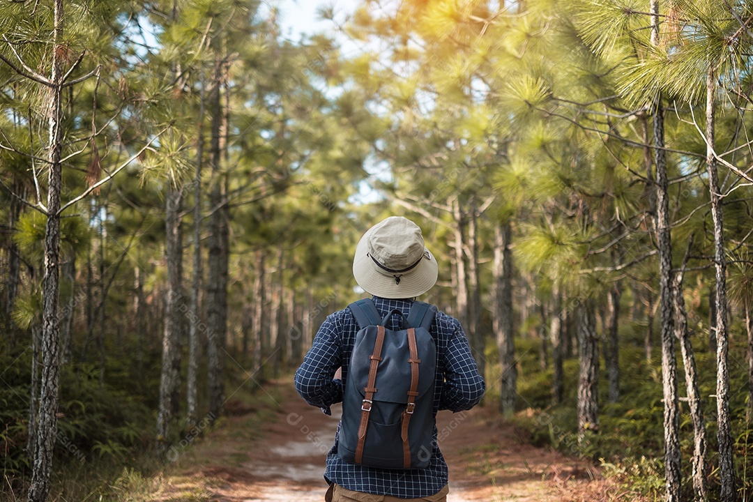 Jovem com mochila e chapéu caminhando nas montanhas durante o verão