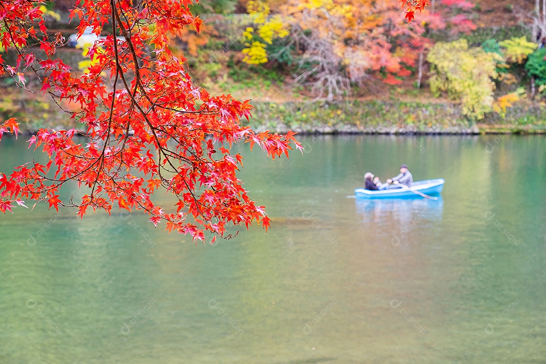 folhas de bordo vermelho no jardim natural