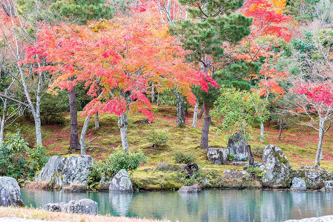 jardim de folhas coloridas e lagoa dentro do templo Tenryuji, marco