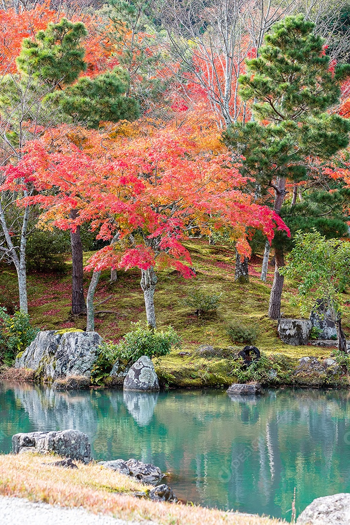 jardim de folhas coloridas e lagoa dentro do templo Tenryuji, marco
