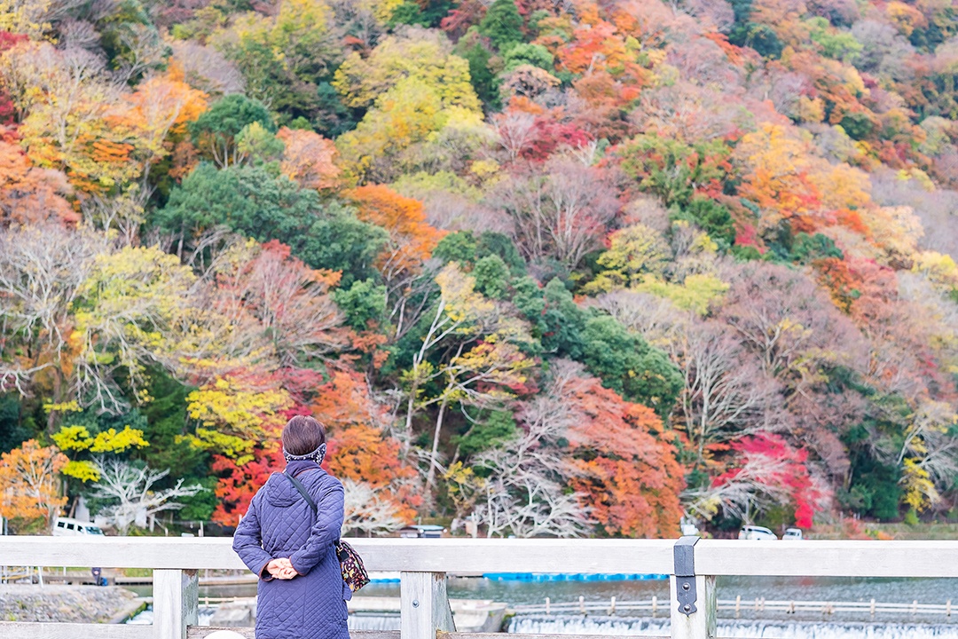 ponte togetsukyo com montanhas de folhas coloridas e riv Katsura