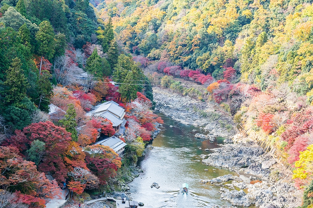 Montanhas de folhas coloridas e rio em, terras.
