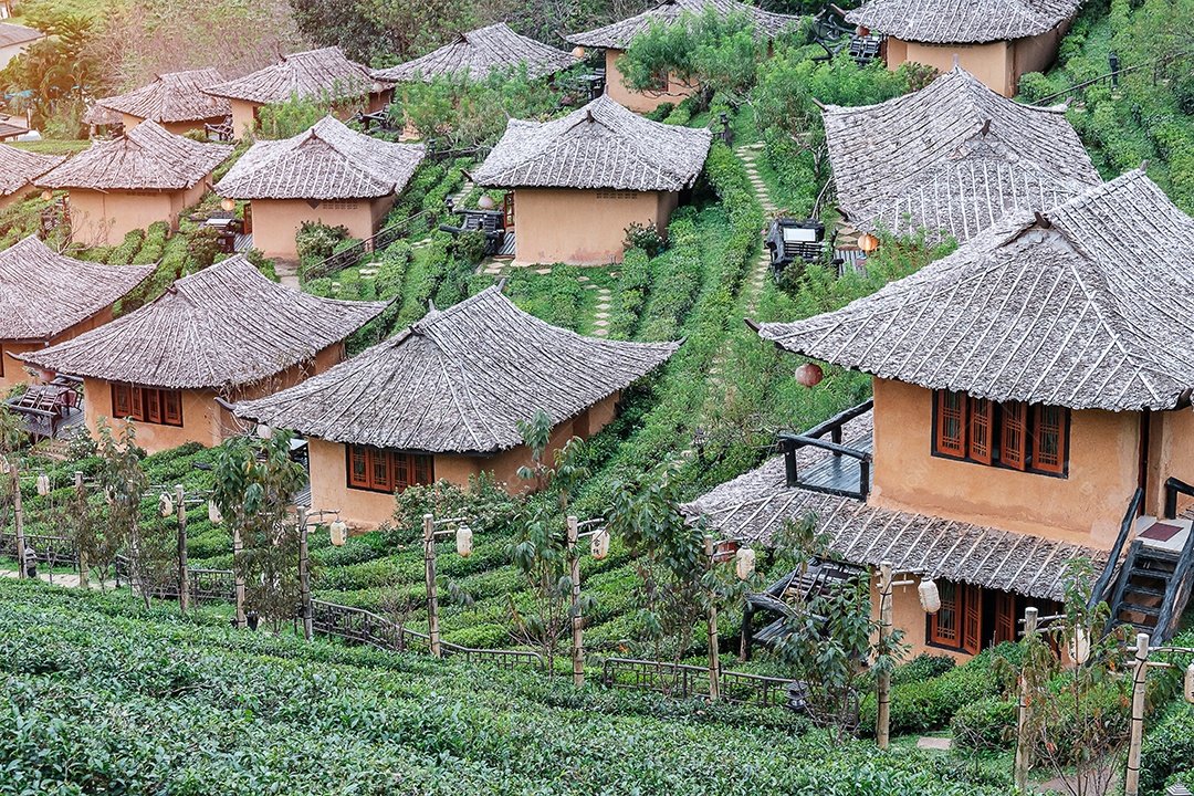 Belo jardim de chá na aldeia de Ban Rak Thai, Mae Hong Son, Tailândia. conceito de viagens, férias e férias