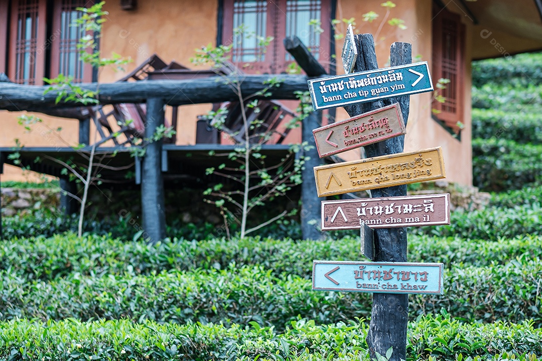 Placa de direção do resort tailandês rak vinho lee contra o fundo bonito do jardim de chá na vila tailandesa de Ban Rak. Mae Hong Son, Tailândia