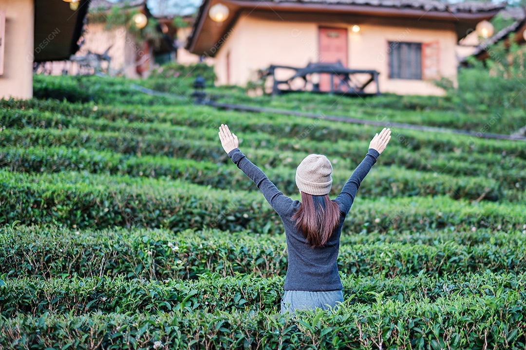 Mulher turista feliz desfrutar no belo jardim de chá. Viajante visitando na aldeia de Ban Rak Thai, Mae Hong Son, Tailândia. conceito de viagens, férias e férias