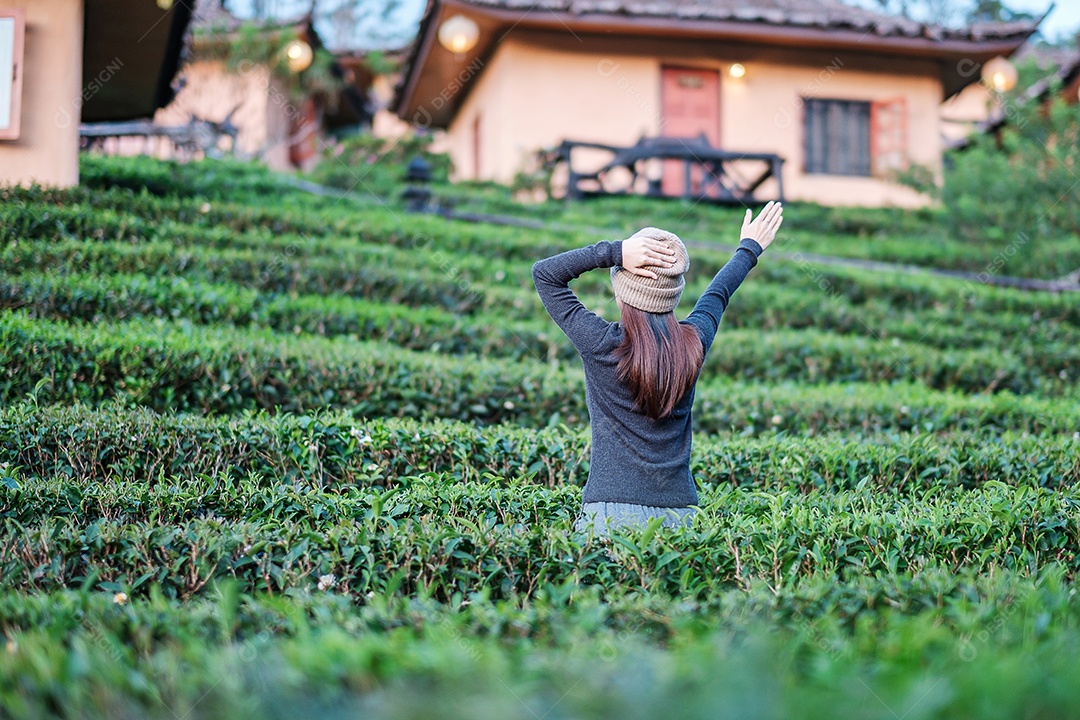 Mulher turista feliz desfrutar no belo jardim de chá. Viajante visitando na aldeia de Ban Rak Thai, Mae Hong Son, Tailândia. conceito de viagens, férias e férias