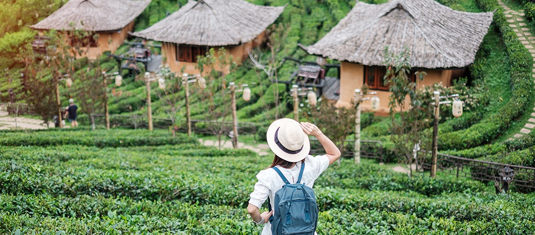 Mulher turista feliz em vestido branco desfrutar de belo jardim de chá. Viajante visitando na aldeia de Ban Rak Thai, Mae Hong Son, Tailândia. conceito de viagens
