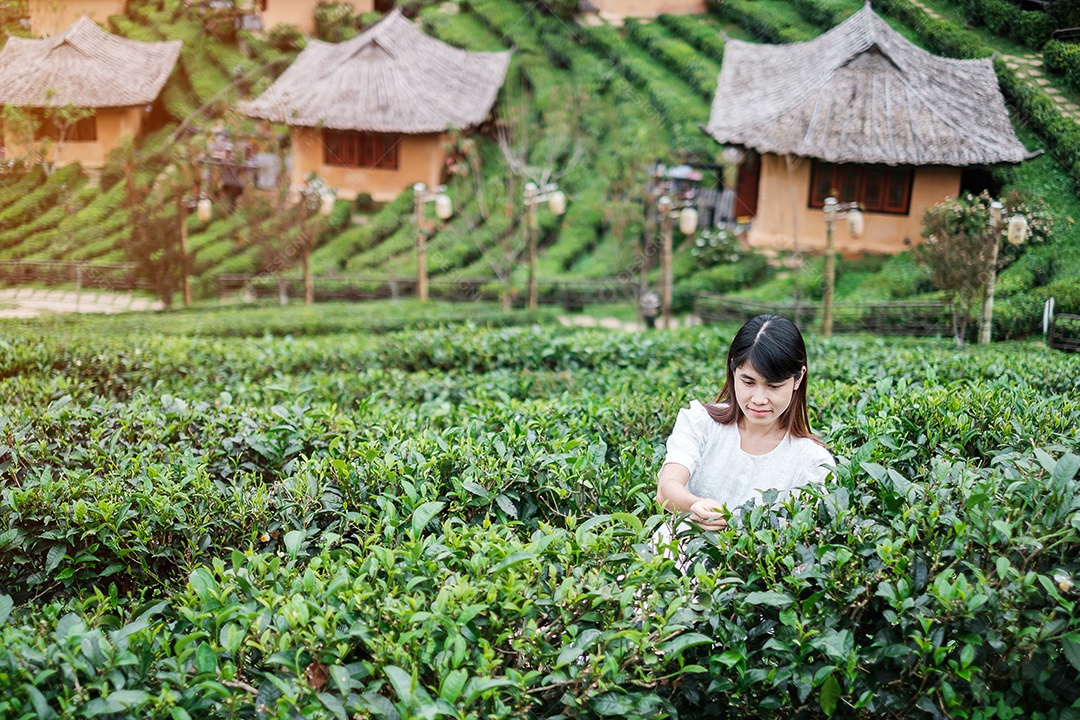 Mulher turista feliz em vestido branco desfrutar de belo jardim de chá. Viajante visitando na aldeia de Ban Rak Thai, Mae Hong Son, Tailândia. conceito de viagens