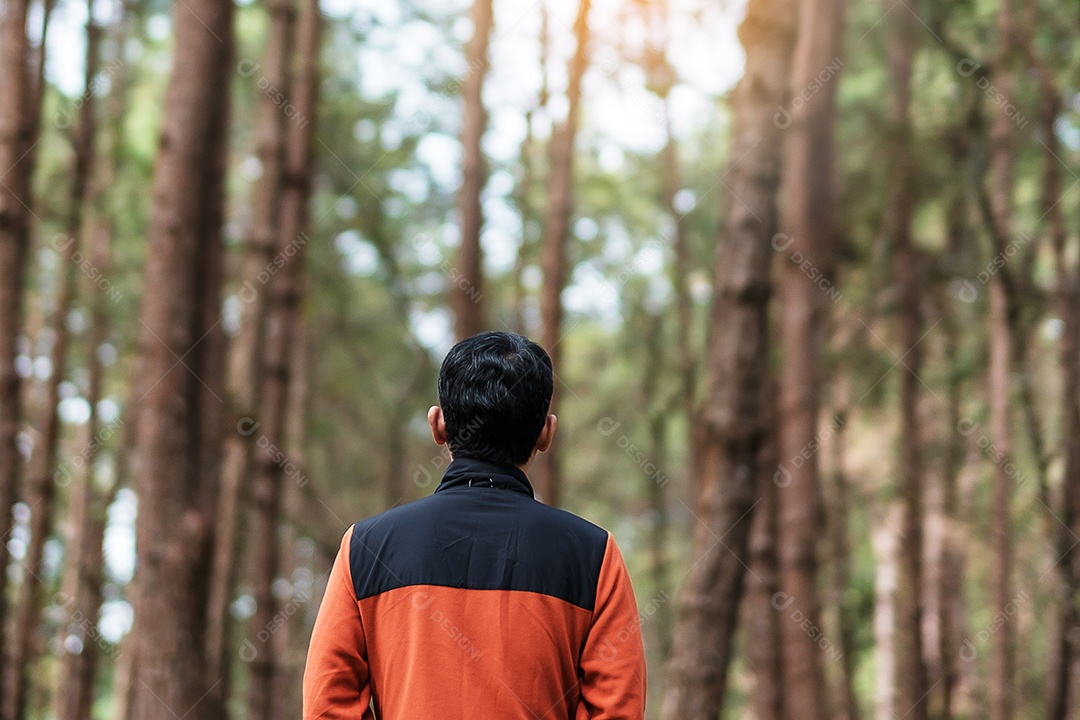 Homem viajante feliz em pé e olhando floresta de pinheiros, turista solo em suéter laranja viajando em Pang Oung, Mae Hong Son, Tailândia. conceito de viagens