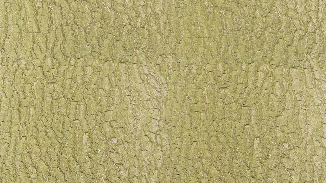 Textura de fundo de madeira fechada, abstrato, modelo vazio