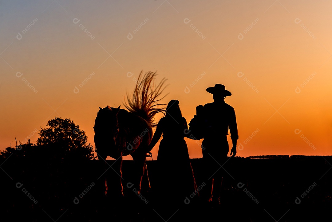 Cavalo e família gaúcha na fazenda ao pôr do sol silhueta.