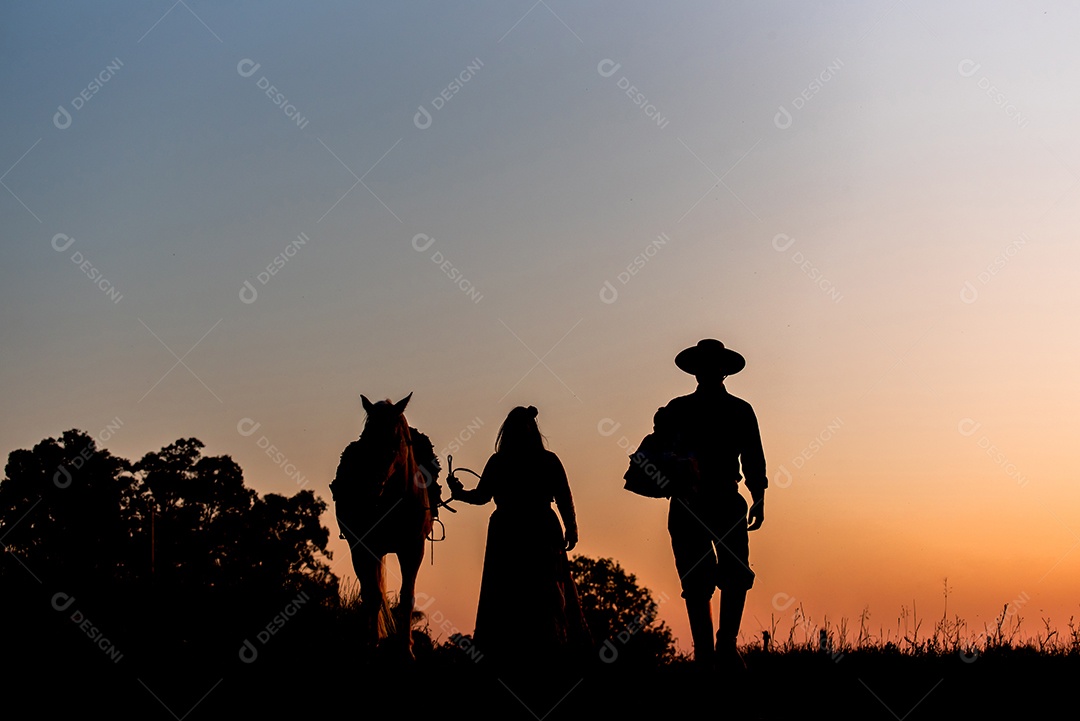 Família de cavalos e gaúchos em campo ao pôr do sol silhueta