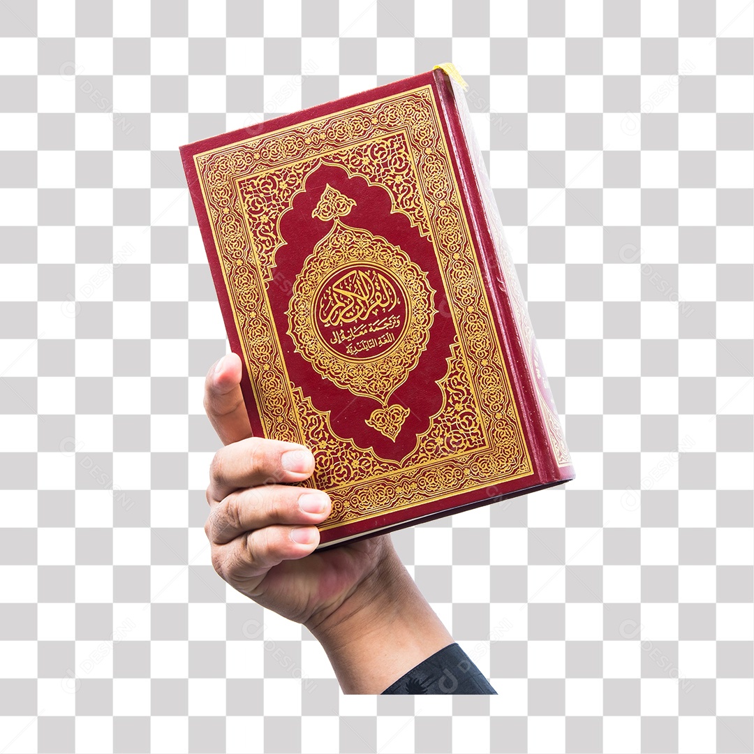 Mão de Homem Segurando Livro PNG Transparente